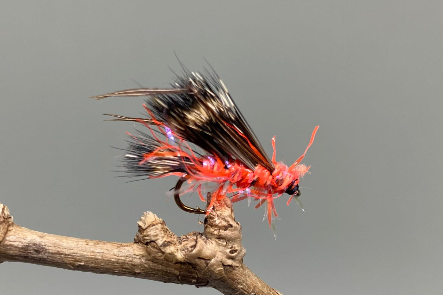 Straggle Orange Fritz Sedgehog X 3 (Barbed)