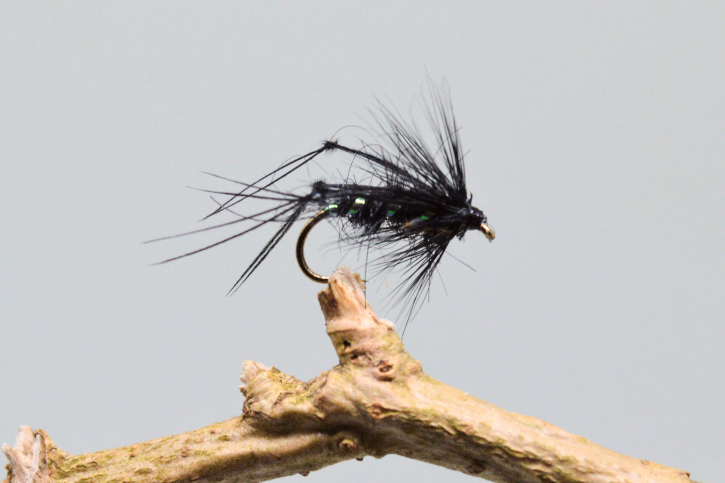 Black Bristol Hoppers X 3 (Barbed)