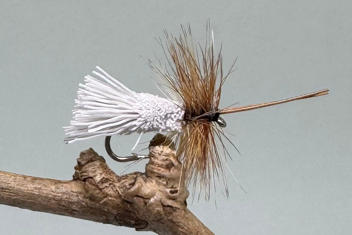Goddard's Sedge Natural X 3 (Barbed)