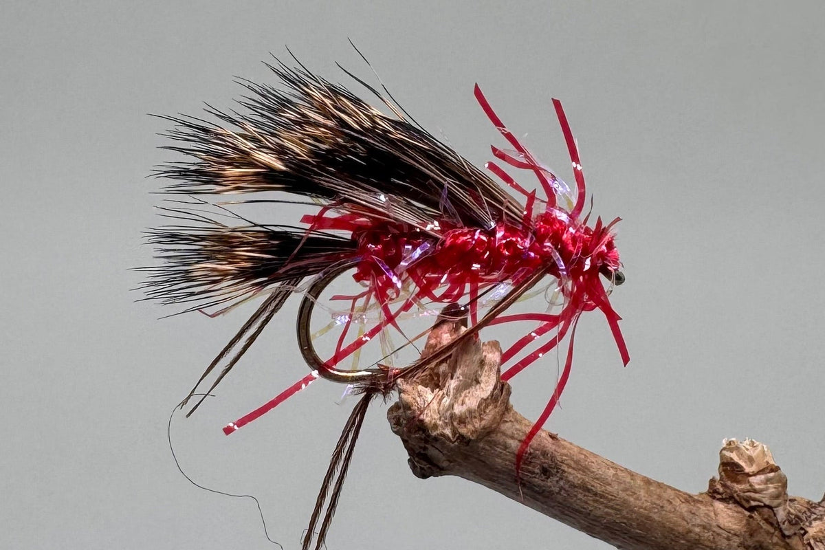 Straggle Red Fritz Sedgehog X 3 (Barbed)