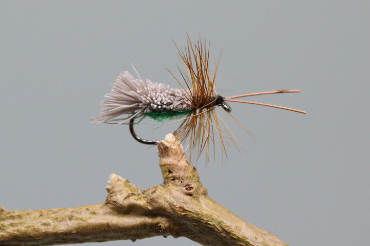 Green G & H Sedges X 3 (Barbed)