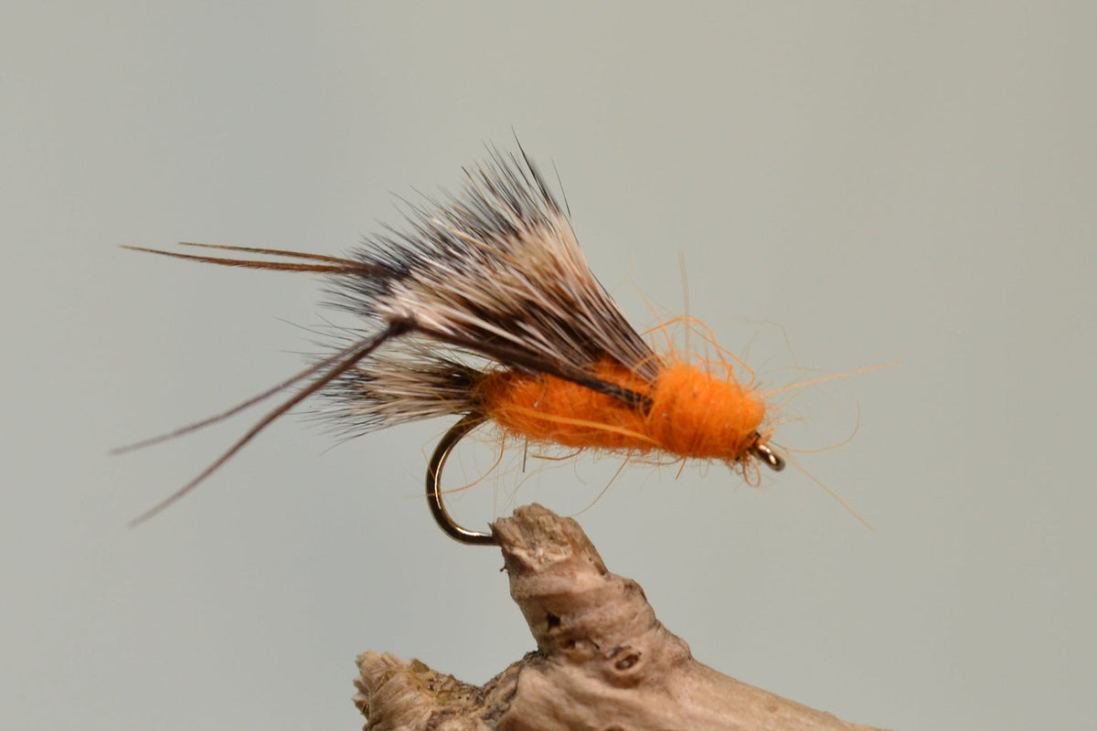 Orange Sedgehog X 3 (Barbed)