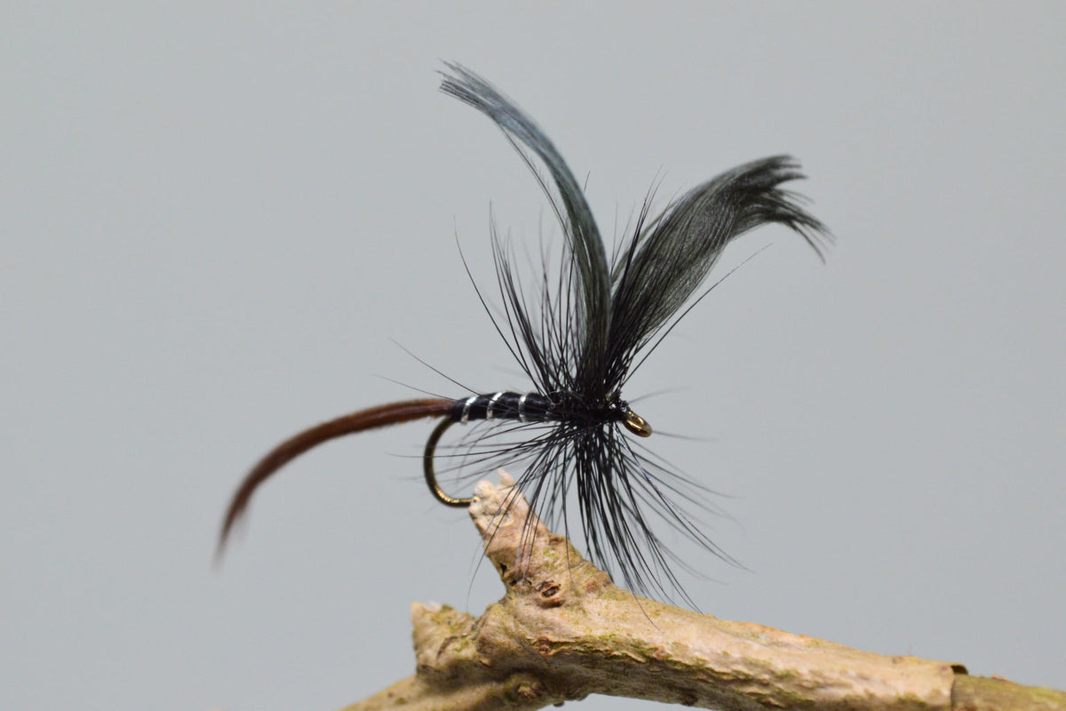 Black Drake May Flies X 3 (Barbed)