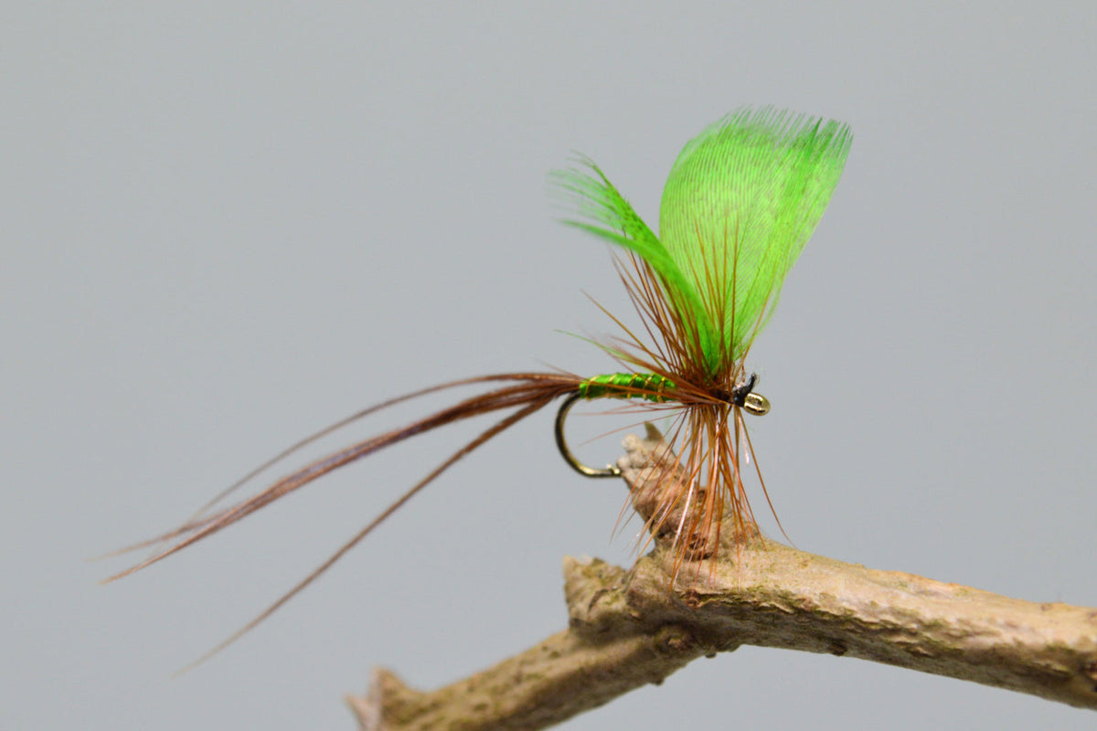 Green Drake May Flies X 3 (Barbed)