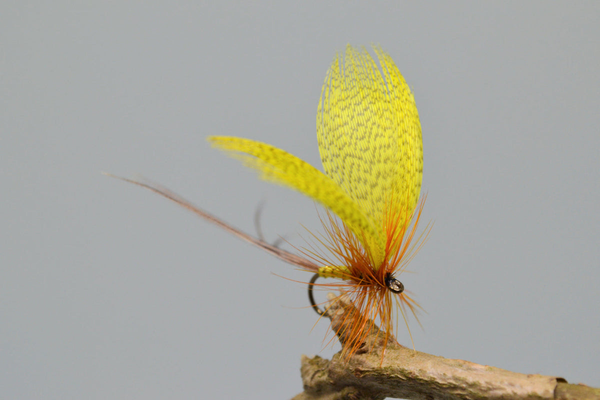 Yellow Drake May Flies X 3 (Barbed)