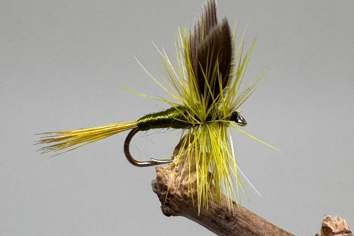 Olive Dun / Dry X 3 (Barbed & Barbless)