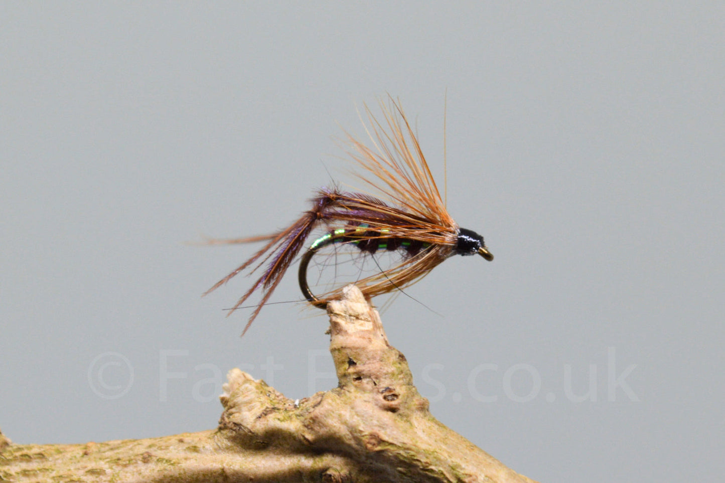 Claret Bristol Hoppers X 3 (Barbed)
