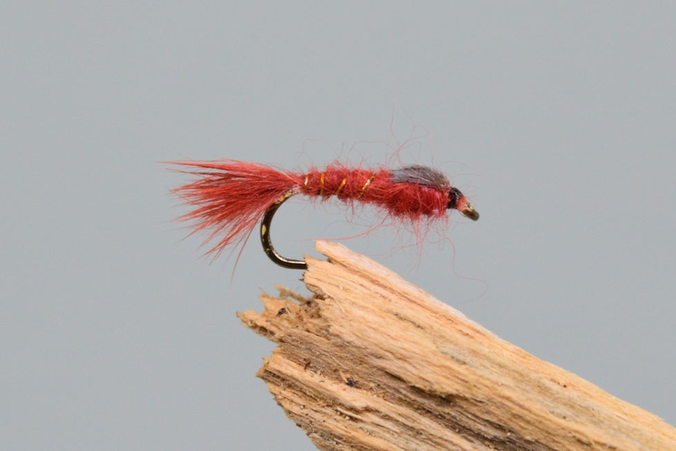G.R.H.E. Claret X 3 (Barbed)