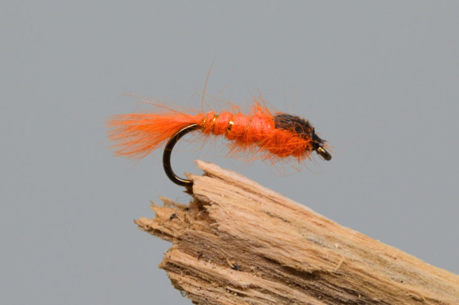 G.R.H.E. Hot Orange X 3 (Barbed)