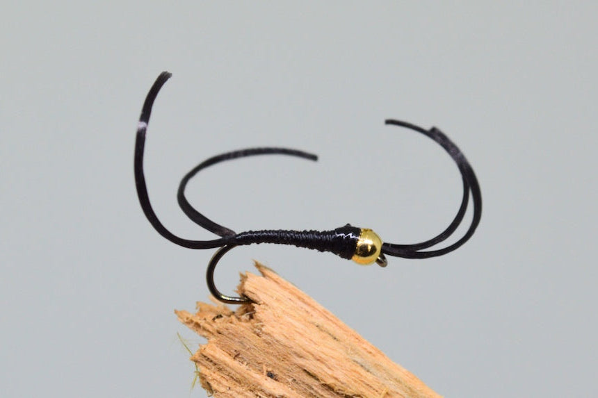 Gold Head Black Apps Bloodworm X 3 (Barbed)