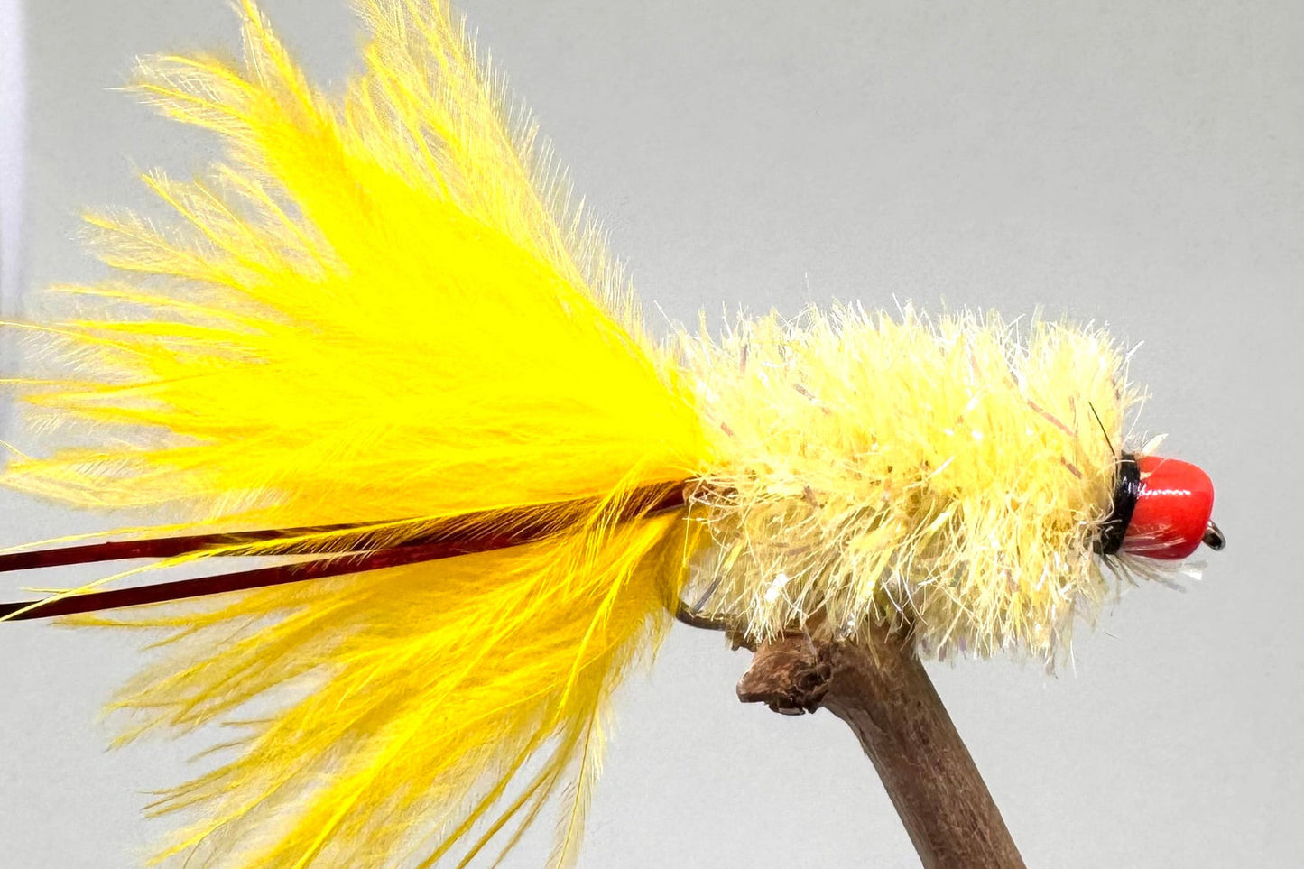Ally McCoist Sunburst X 3 (Barbed)
