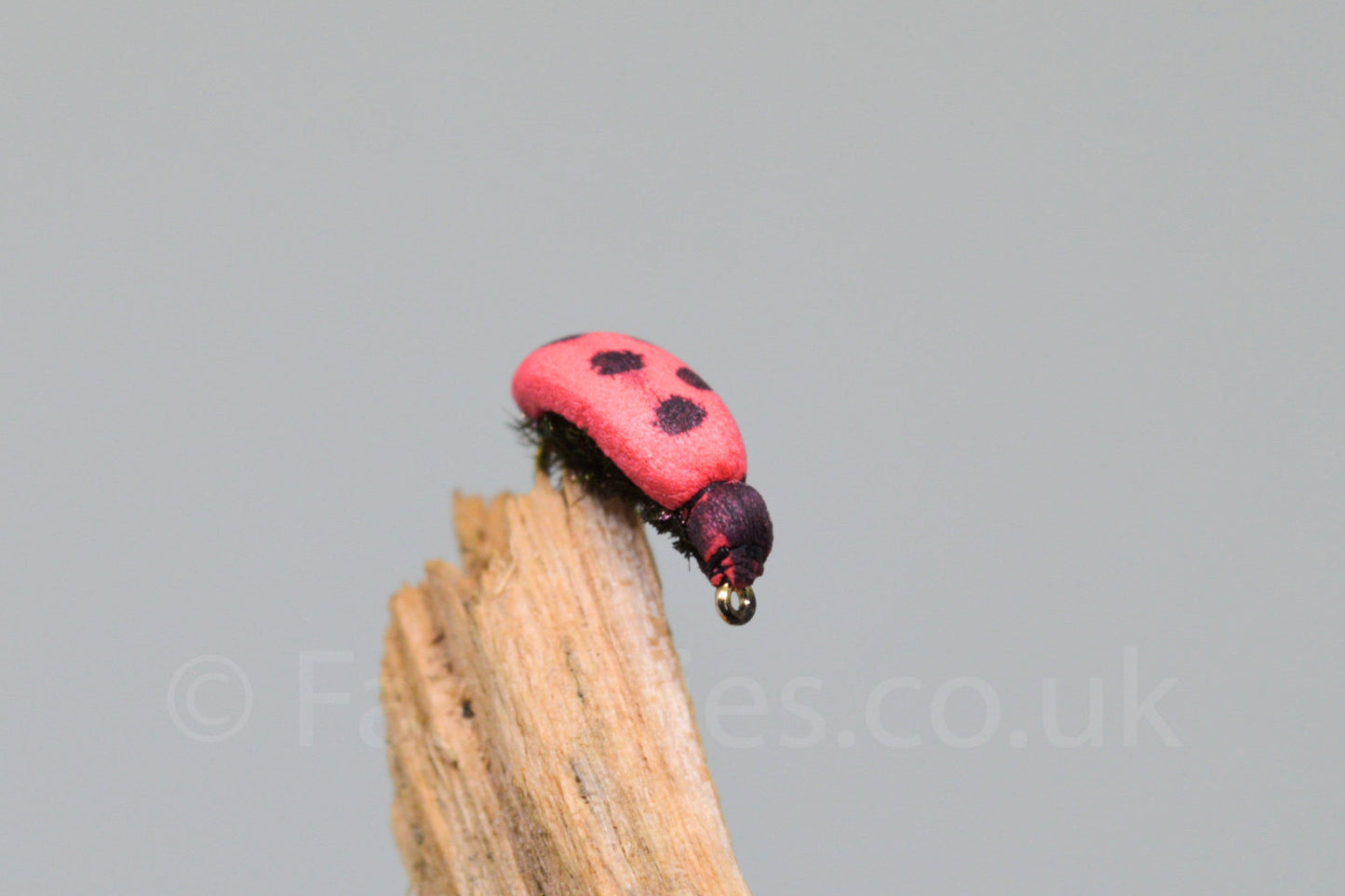 Ladybird (Barbed)
