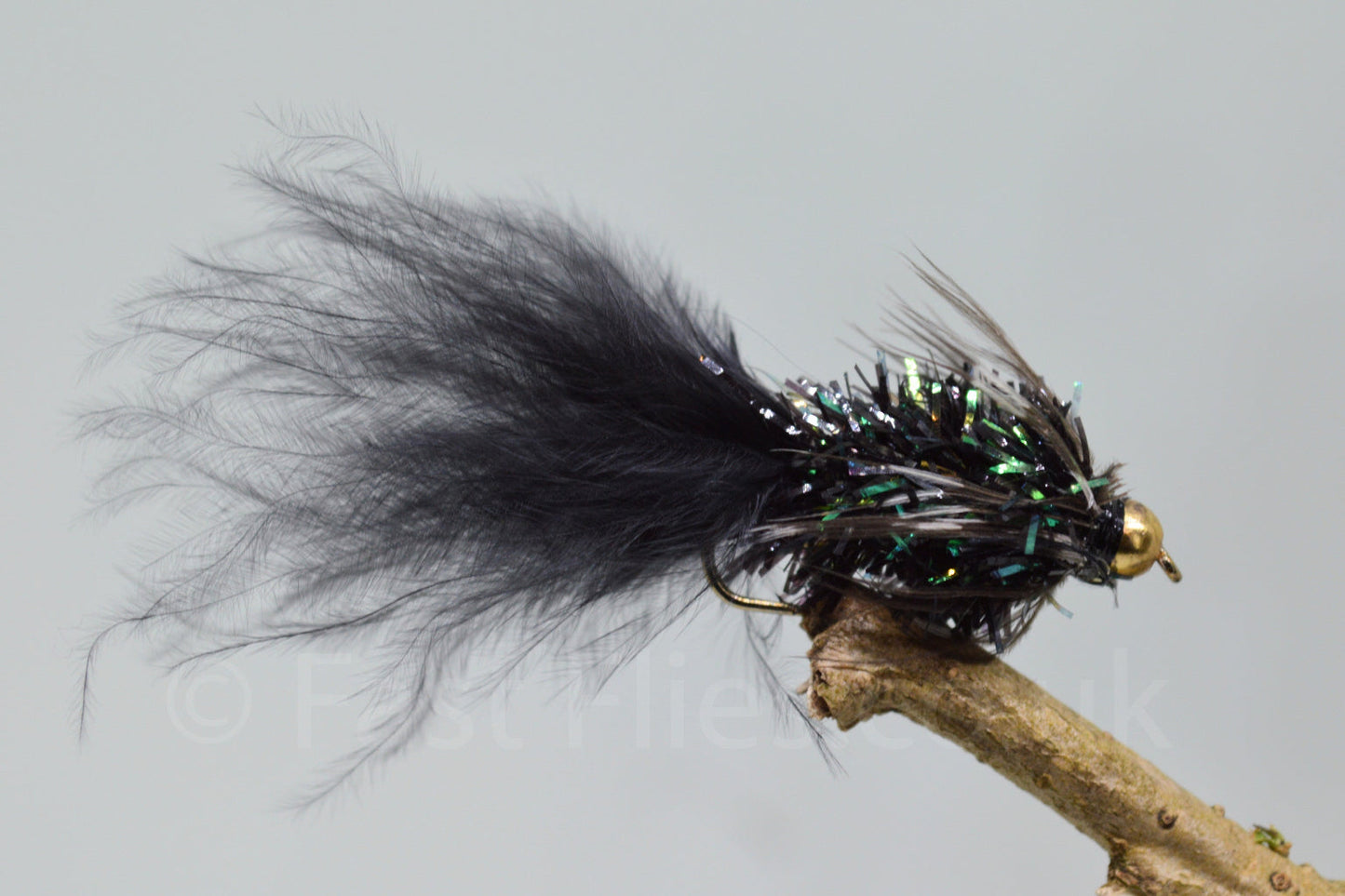 Black Loynton Guineas X 3 (Barbed)