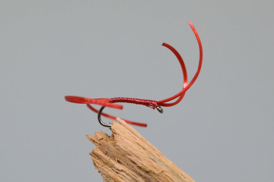 Red Apps Bloodworm X 3 (Barbed Or Barbless)