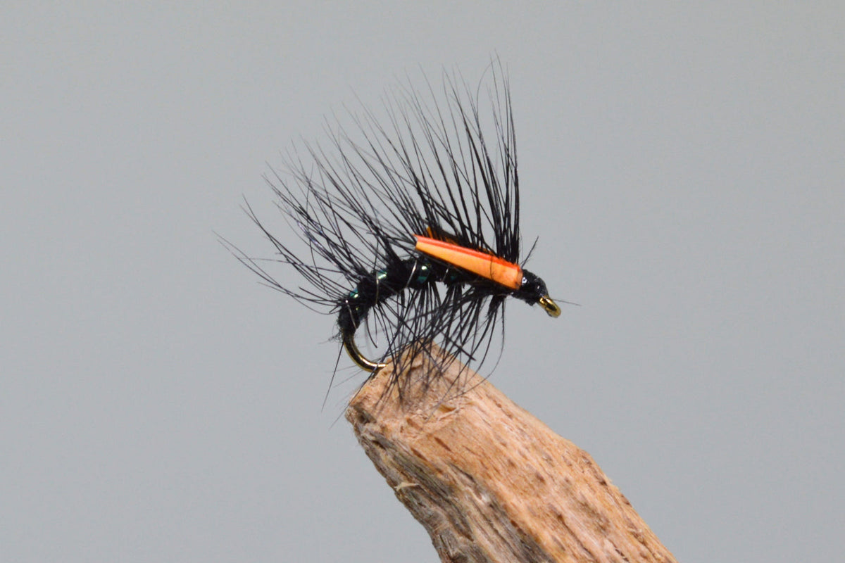 Black X 3 (Barbed)