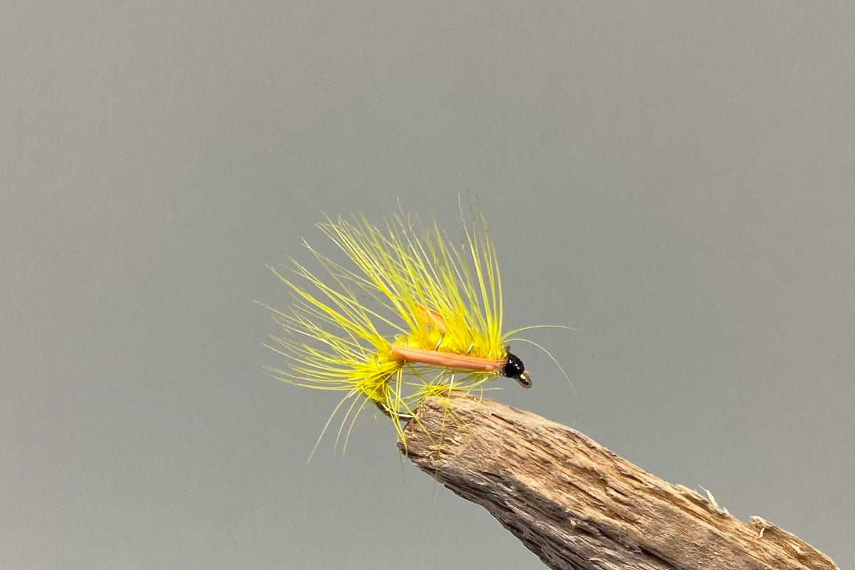 Yellow Pearl X 3 (Barbed)