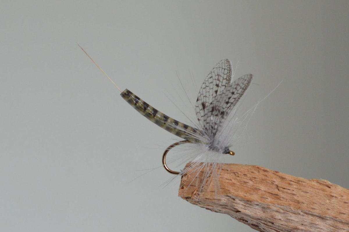 Grey Drake (Barbed)