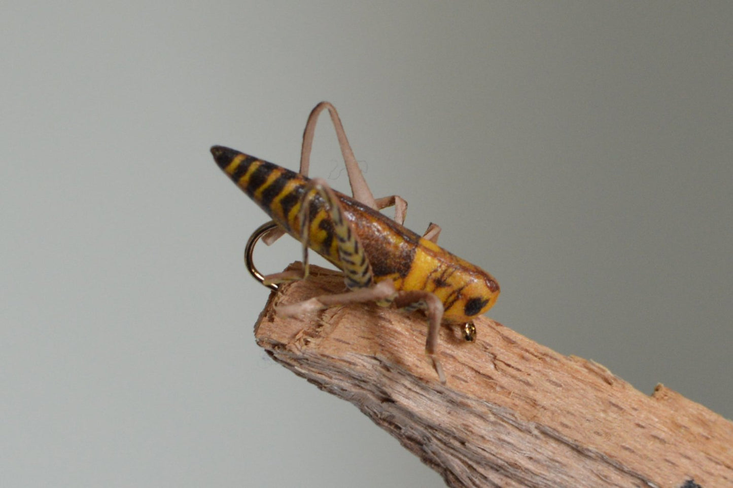 True Hopper Brown (Barbed)