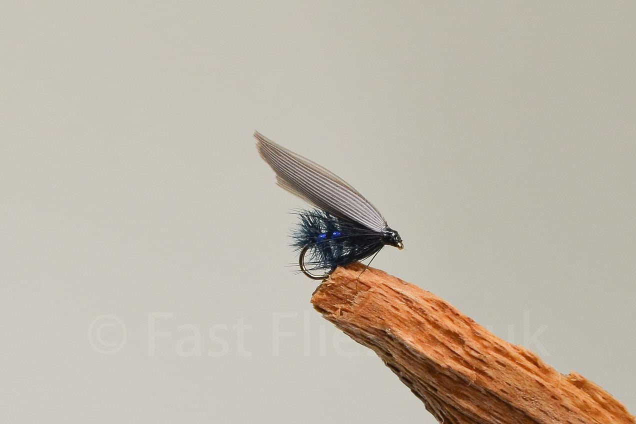 Blue Bottle X 3 (Barbed)