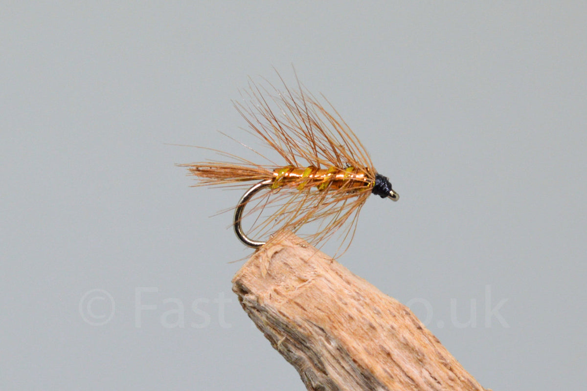 Wingless Wickham / Wet X 3 (Barbed)
