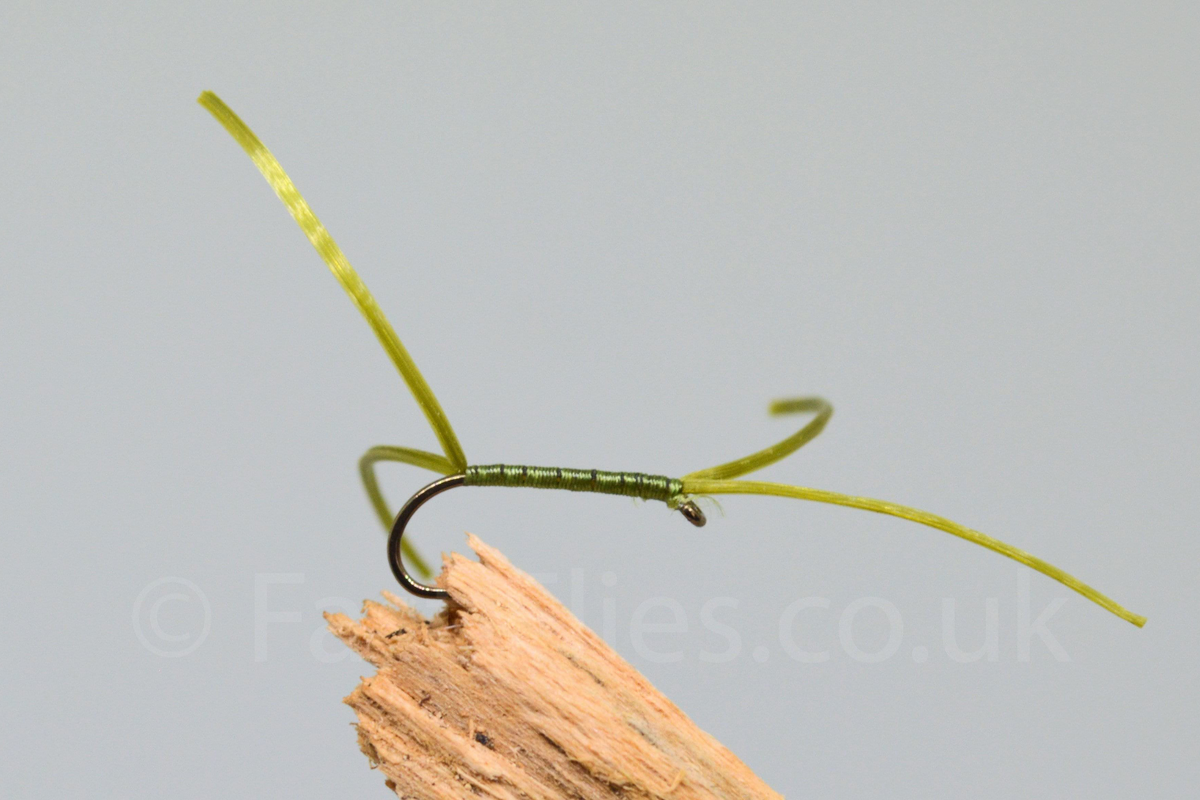 Olive Apps Bloodworm X 3 (Barbed)