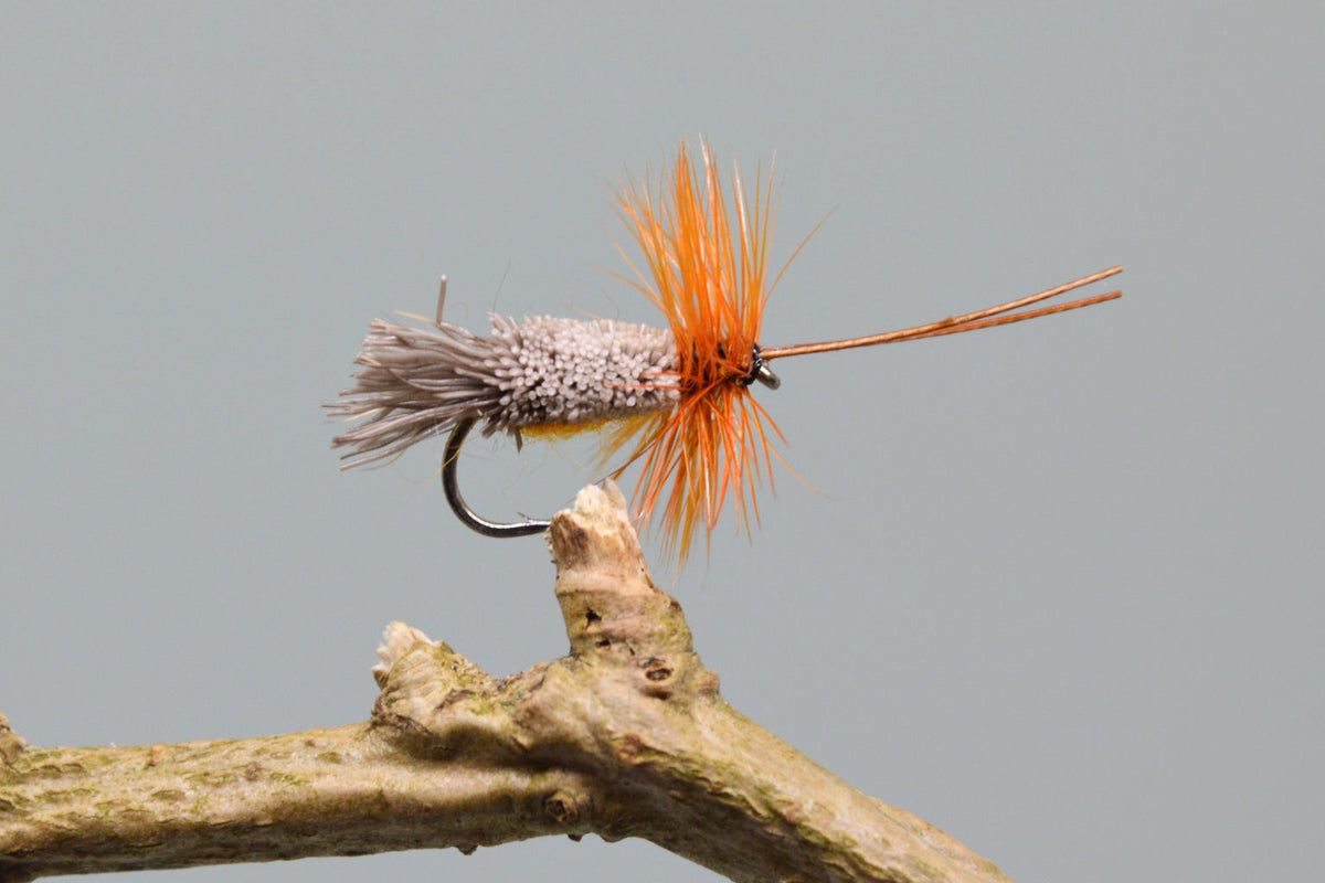 Orange G & H Sedges X 3 (Barbed)