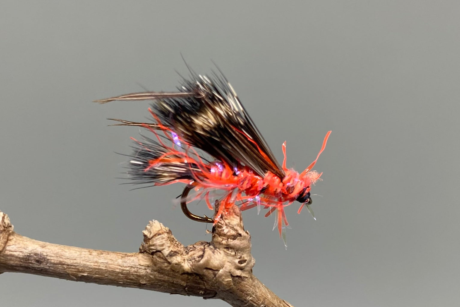  Straggle Orange Fritz Sedgehog X 3 (Barbed)