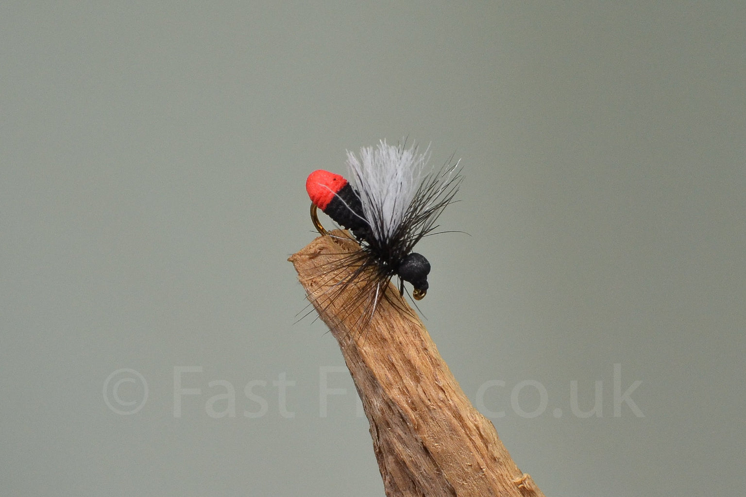  Red Butt Ant (Barbed)