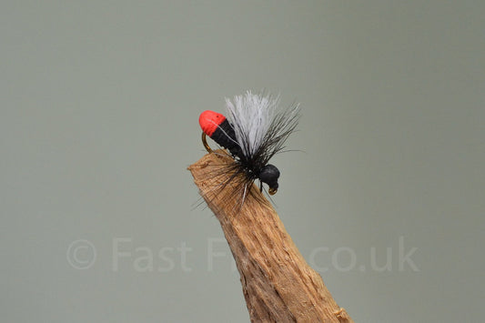  Red Butt Ant (Barbed)