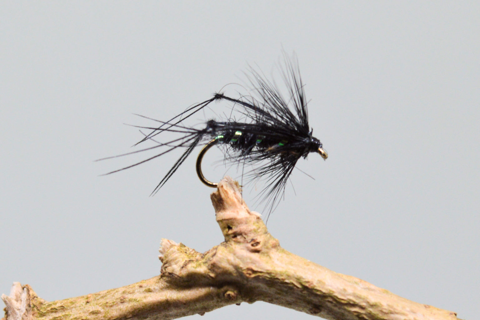  Black Bristol Hoppers X 3 (Barbed)