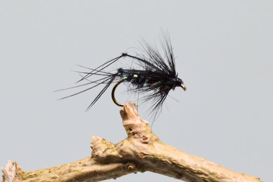  Black Bristol Hoppers X 3 (Barbed)