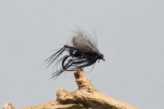  CDC Black Bristol Hoppers X 3 (Barbed & Barbless)