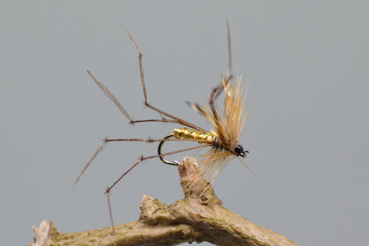  Daddy Longlegs X 3 (Barbed & Barbless)