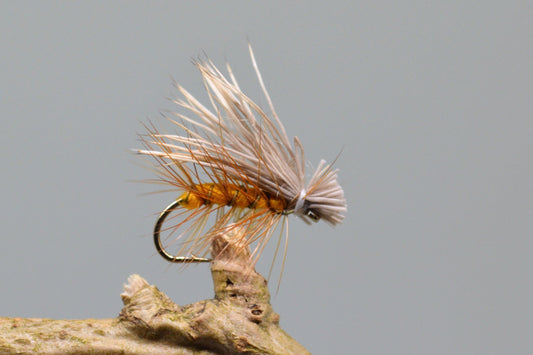  Orange Elk Hare Caddis X 3 (Barbed & Barbless)