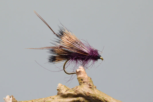  Claret Sedgehog X 3 (Barbed)