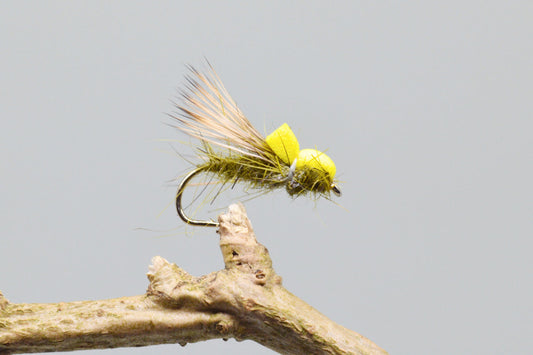  Balloon Caddis X 3 (Barbed)