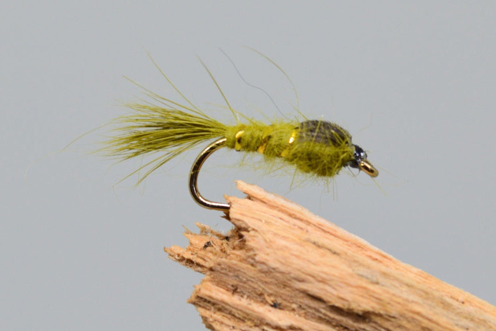  G.R.H.E. Olive X 3 (Barbed)