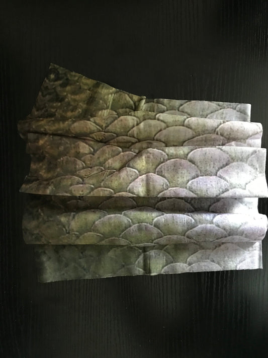  Scale Pattern Buff