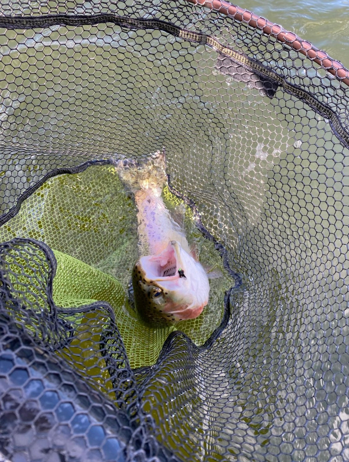  Ace Of Spades (green Fluorescent Head) X 3 (Barbed)