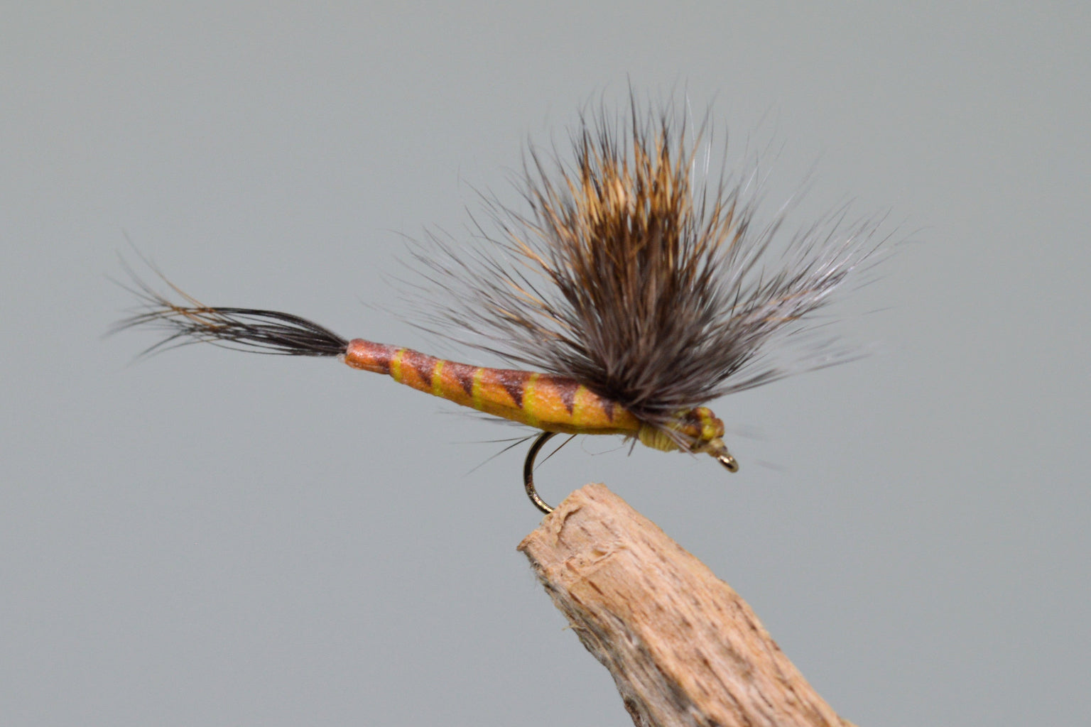  Elk Wing May Fly Brown (Barbed)