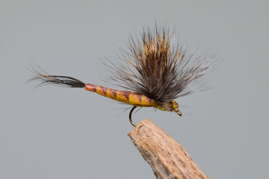  Elk Wing May Fly Brown (Barbed)