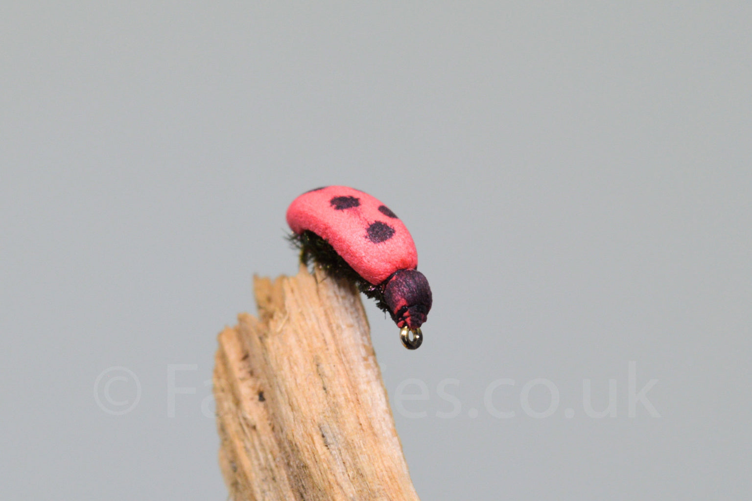  Ladybird (Barbed)
