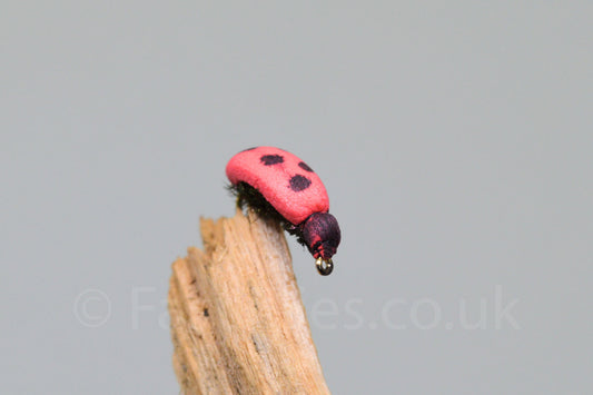  Ladybird (Barbed)