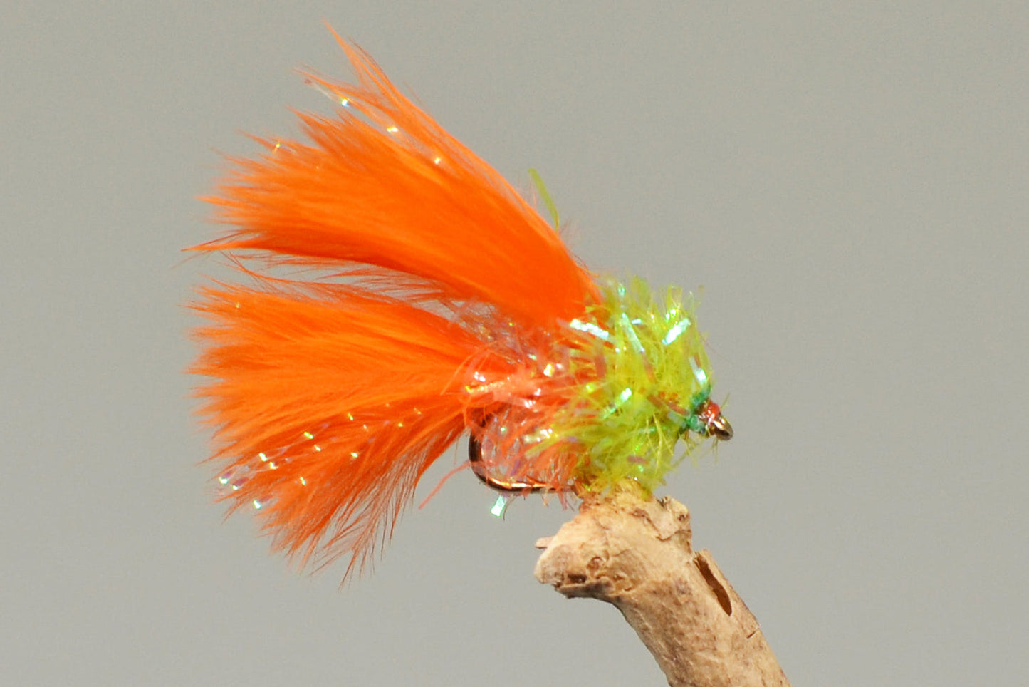  Orange Cat X 3 (Barbed)