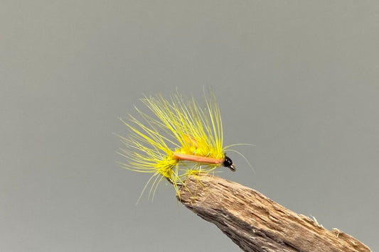  Yellow Pearl X 3 (Barbed)