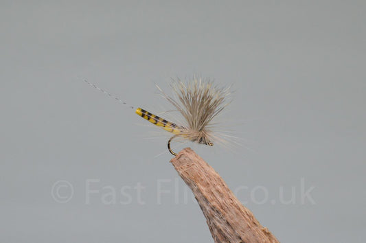  Elk Wing May Fly Olive (Barbed)