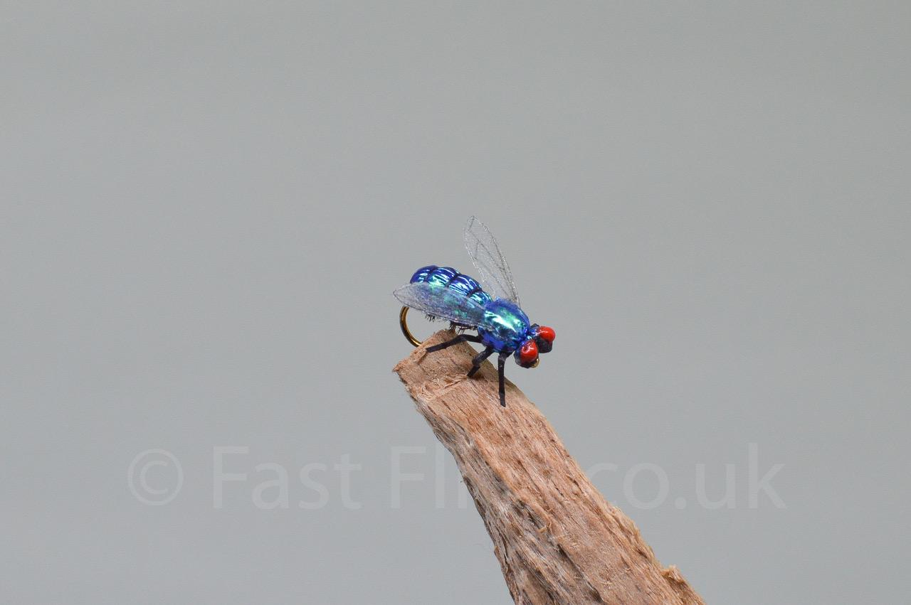  Blue Fly (Barbed)