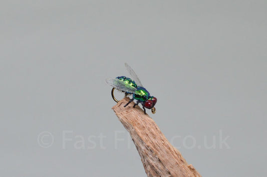  Green Fly (Barbed)