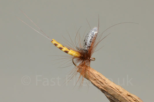  Danica SP (Barbed)