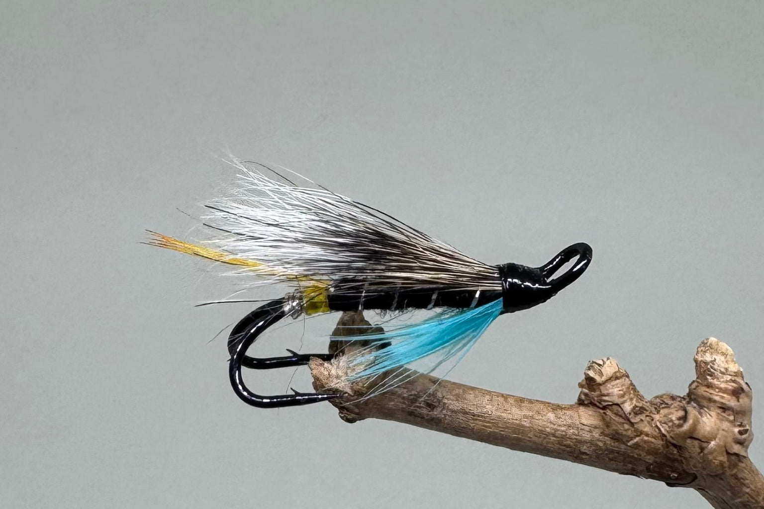  Blue Charm (Barbed)